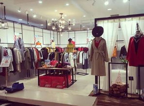 开女装鞋帽店 把握时尚脉搏，掘金潜力市场